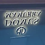 Domus Mamurra *
