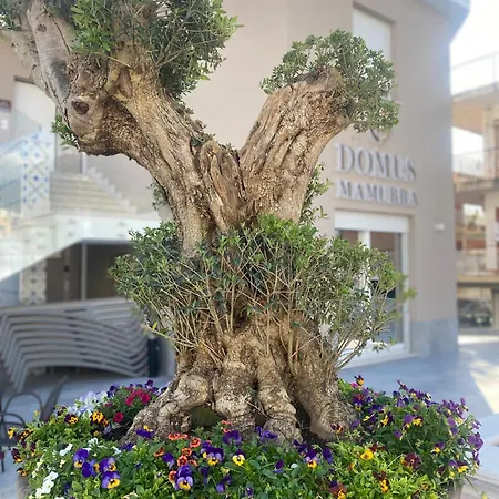 Domus Mamurra Apartment Formia